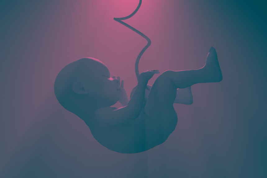Fetal anomali nedir?